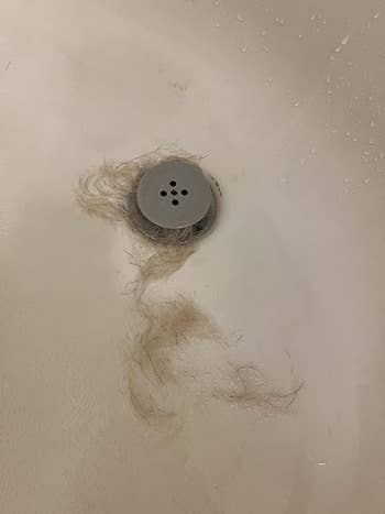 Clump of hair caught in a bathtub drain