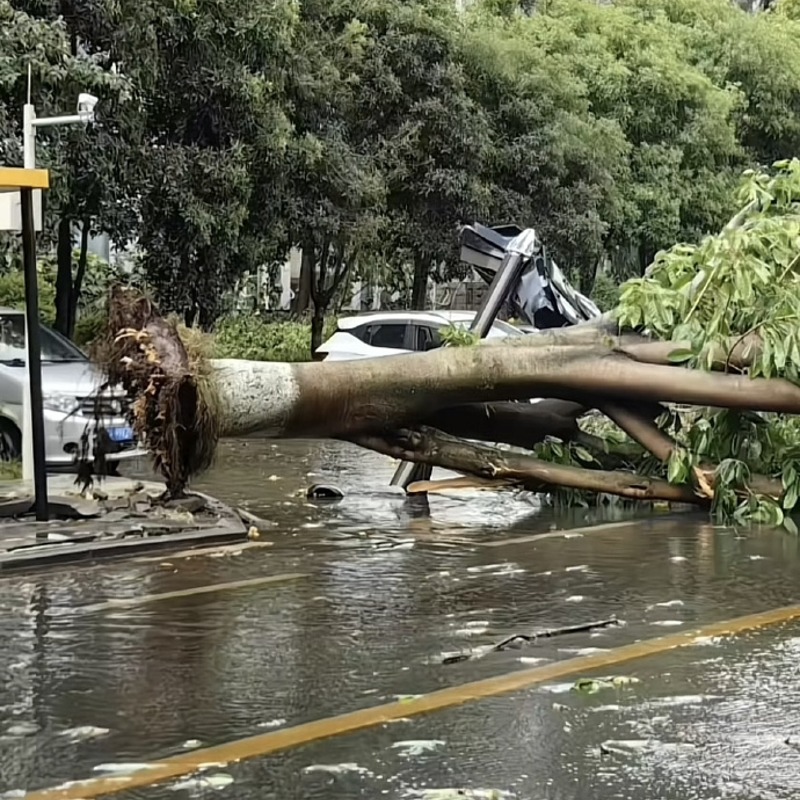 越幫越忙？重慶為緩解高溫使用人工降雨，卻造出狂風暴雨，網又氣又笑：鬧出笑話了！