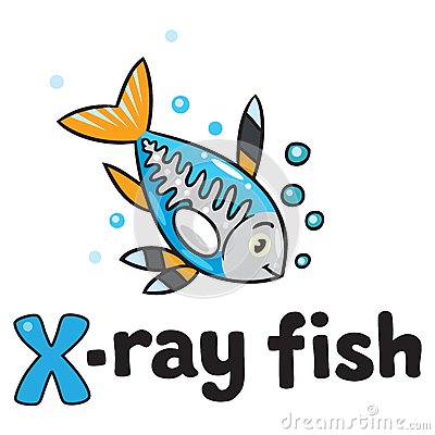 X Ray Fish Clipart