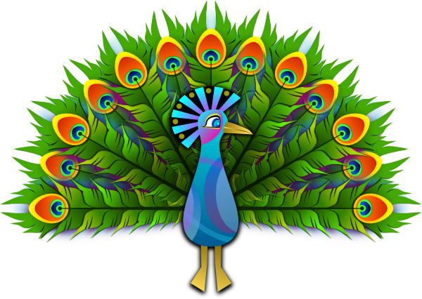 Peacock Clipart