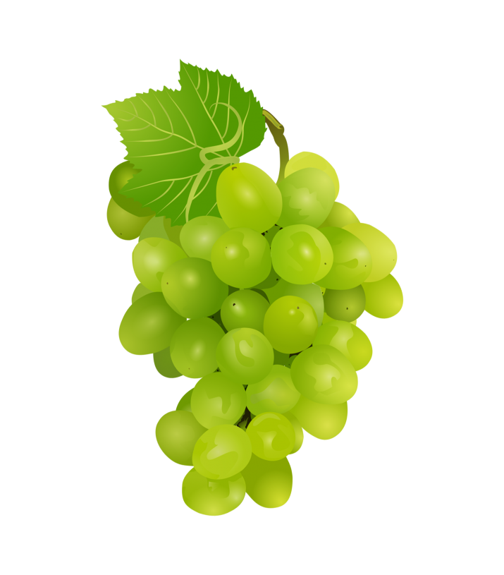 Grapes Clipart