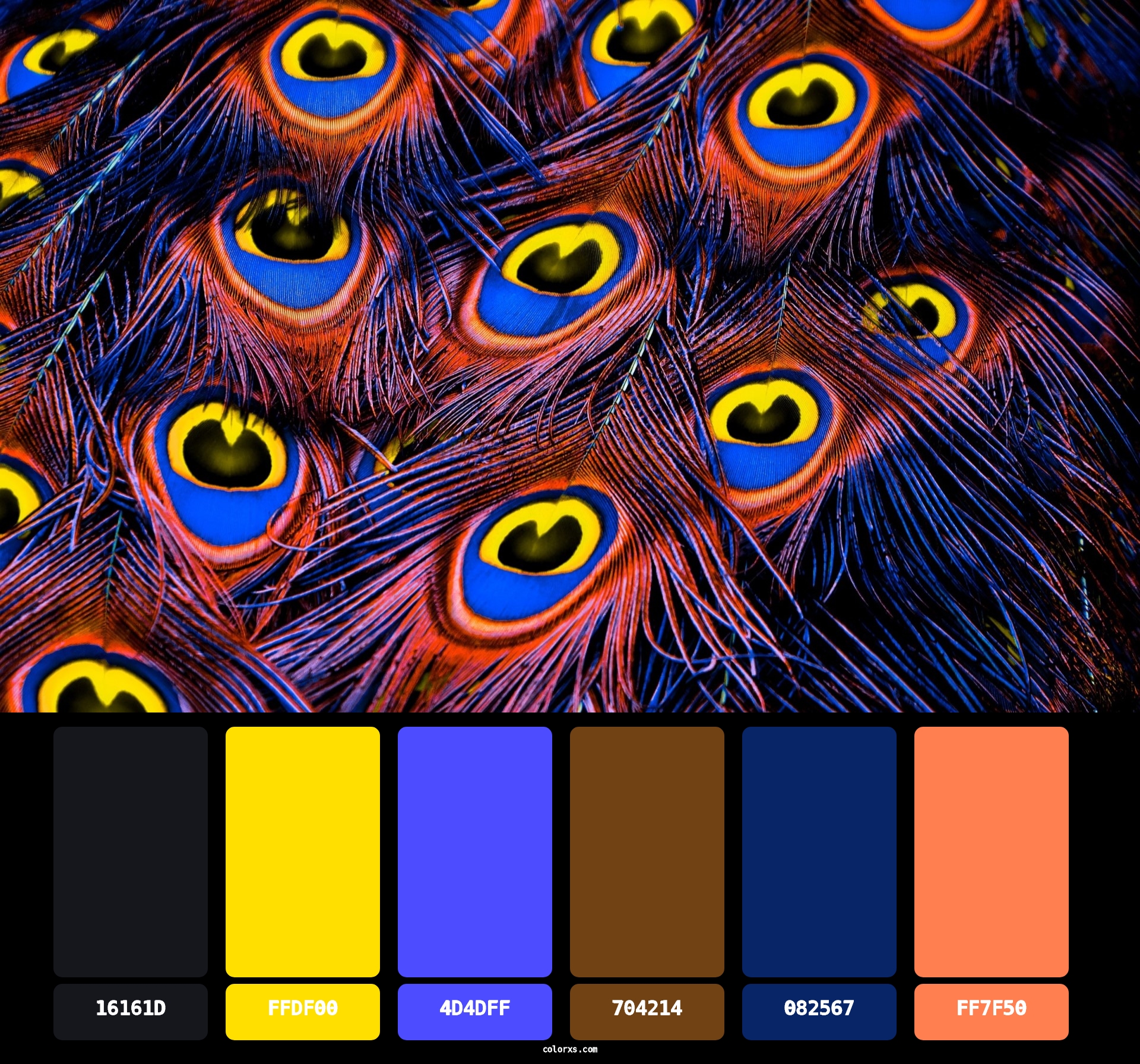 Peacock feather color combination - Color Palette