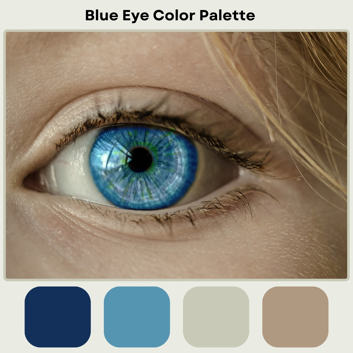 Blue Eye Iris - Color Palette