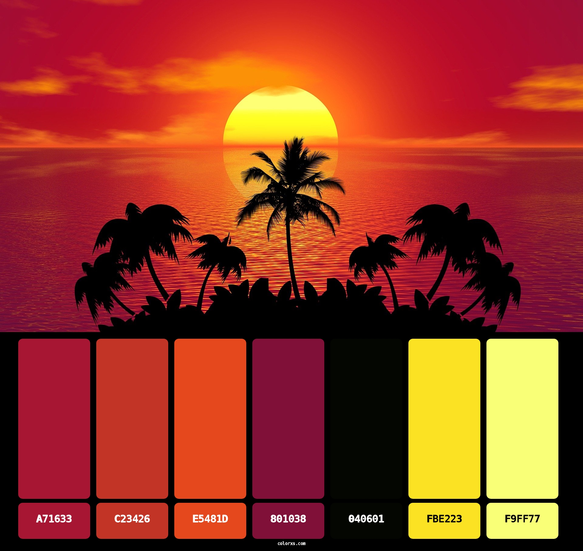 Sunset Palm Trees Silhouettes Color Palette