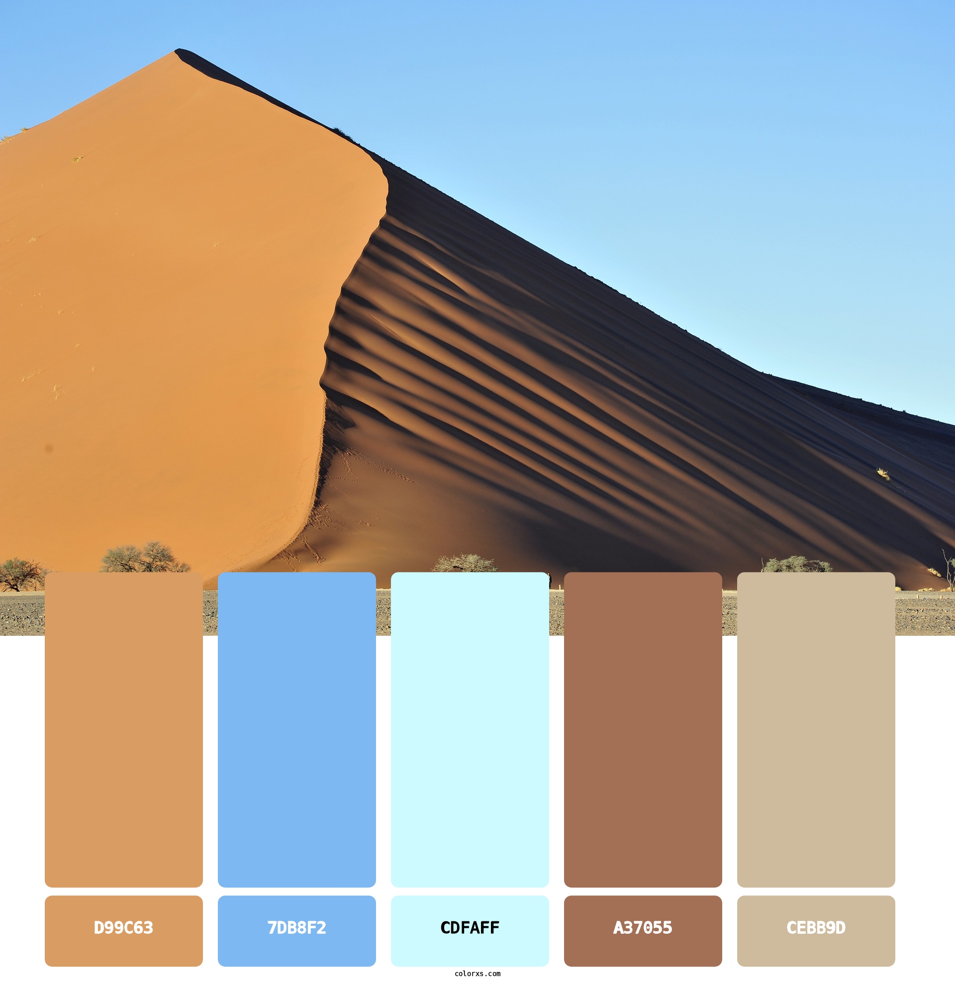 Desert Sand Color Palette 1