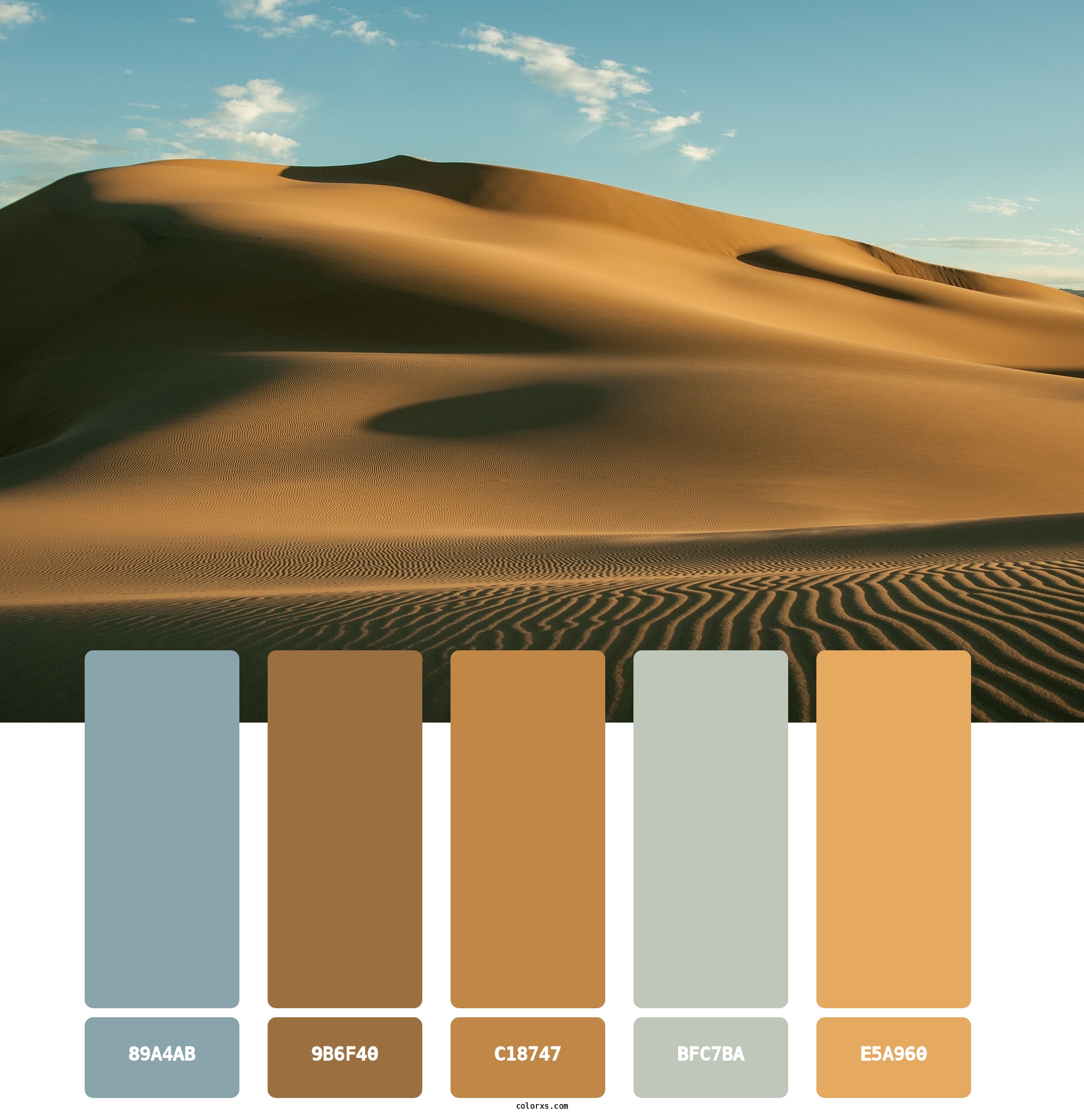 Desert Sand Dune Color Palette 2