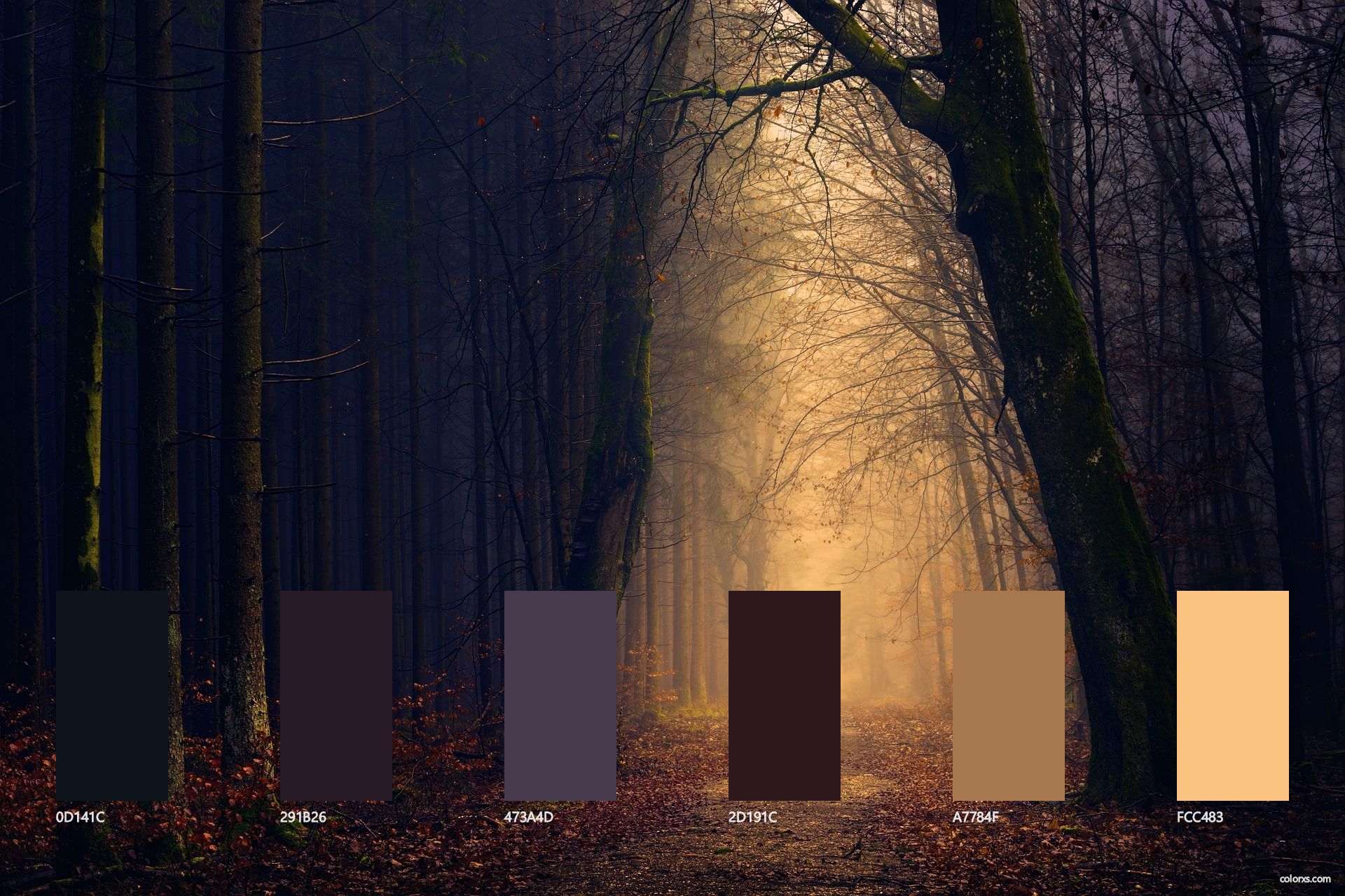 Forest Color Palette 1