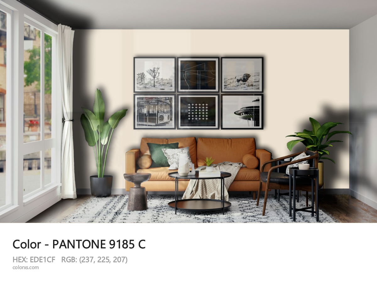 About PANTONE 9185 C color - its meaning and example