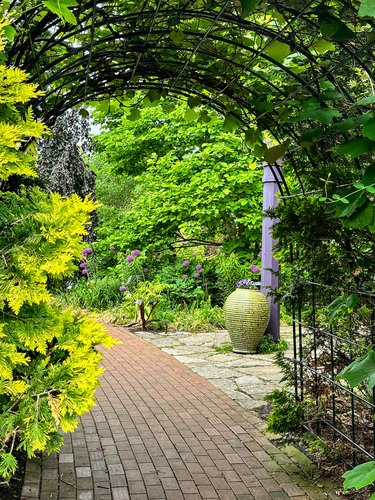 Beautiful black metal garden trellis with green plants