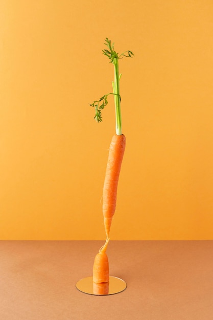 Foto gratuita disposizione di cibo vegetariano sano