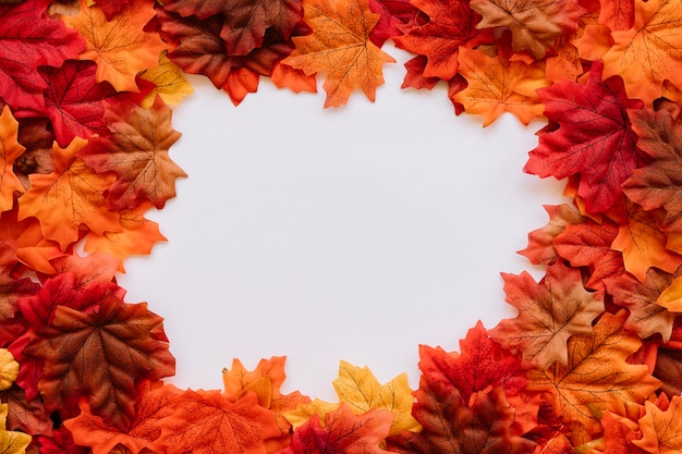 Foto gratuita foglie d'autunno nella composizione cornice naturale bordi