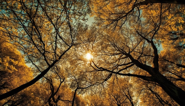 Foto gratuita il ramo di un albero retroilluminato si illumina al tramonto autunnale generato dall'intelligenza artificiale