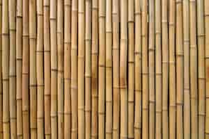 Foto gratuita bamboo texture