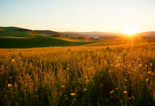 Foto gratuita bel paesaggio naturale