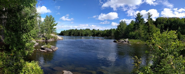 Foto gratuita splendido scenario di un lago circondato da alberi verdi sotto un cielo nuvoloso