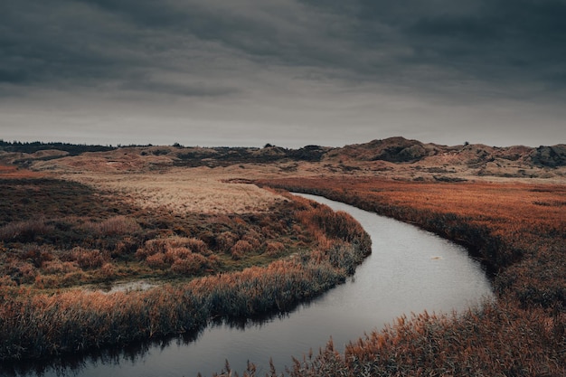 Foto gratuita bellissimo scatto di un lago in una foresta sotto il cielo nuvoloso