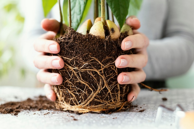 Foto gratuita mani del primo piano che tengono pianta con terreno