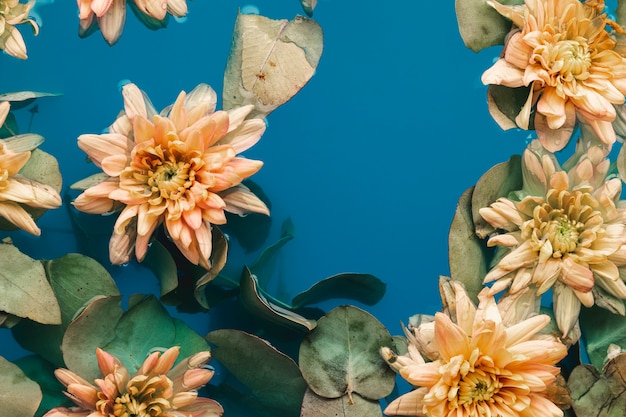 Foto gratuita fiori delicati con foglie in acqua