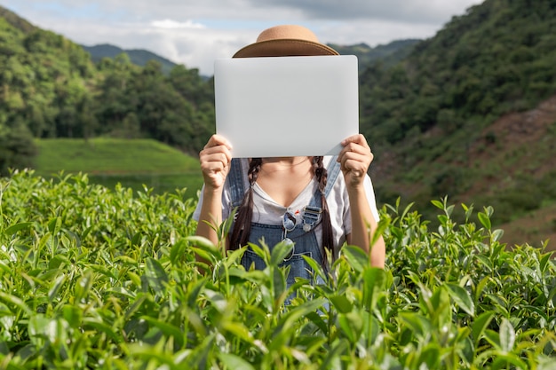 Foto gratuita gli agricoltori in possesso di un bordo bianco nella piantagione di tè