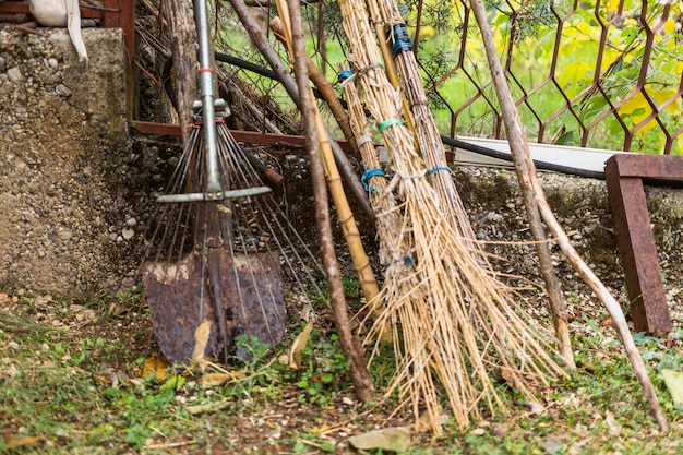 Foto gratuita giardinaggio