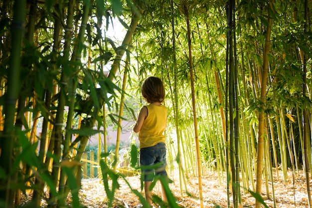 Foto gratuita bambino che cammina attraverso una foresta di bambù