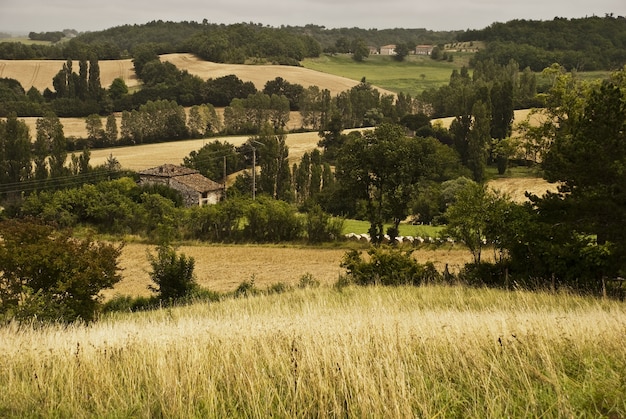 Foto gratuita paesaggio di un campo ricoperto di vegetazione con colline sullo sfondo nel tarn et garonne in francia