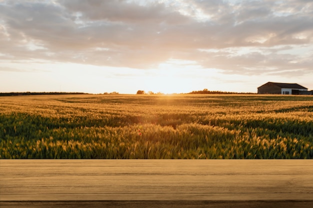 Foto gratuita contesto del prodotto naturale, fattoria e luce solare