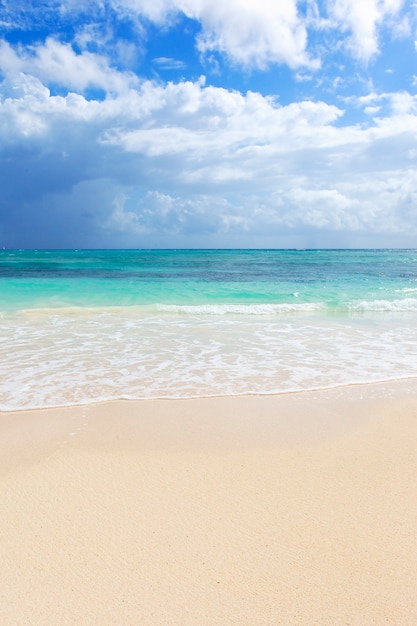 Foto gratuita parte della spiaggia nel mar dei caraibi in messico