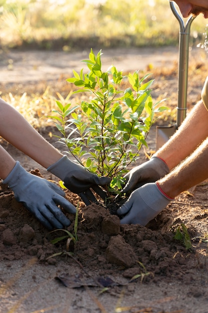 Foto gratuita persone che piantano alberi in campagna