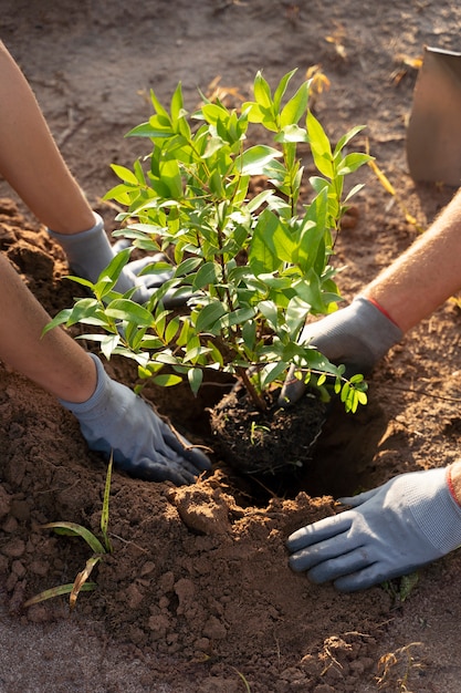 Foto gratuita persone che piantano alberi in campagna