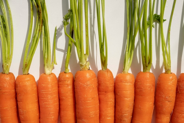 Foto gratuita carota cruda in cucina