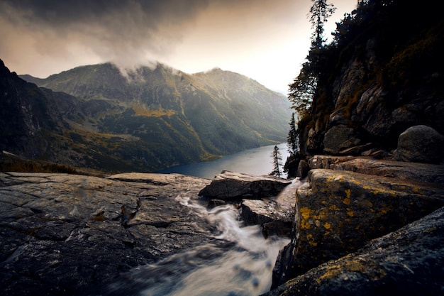 Foto gratuita fiume in montagne nebbiose paesaggio.