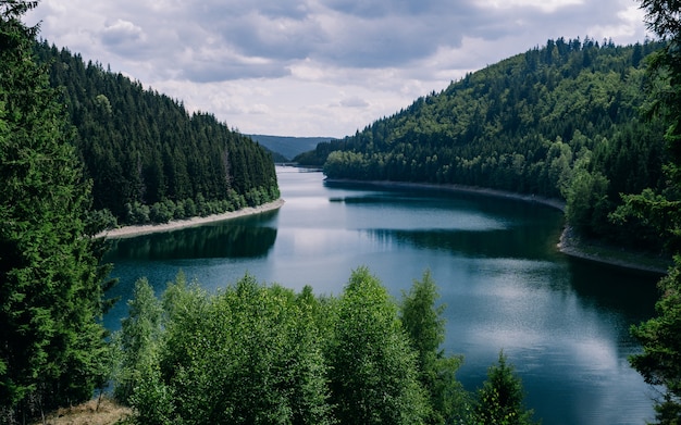 Foto gratuita fiume circondato da foreste sotto un cielo nuvoloso in turingia in germania