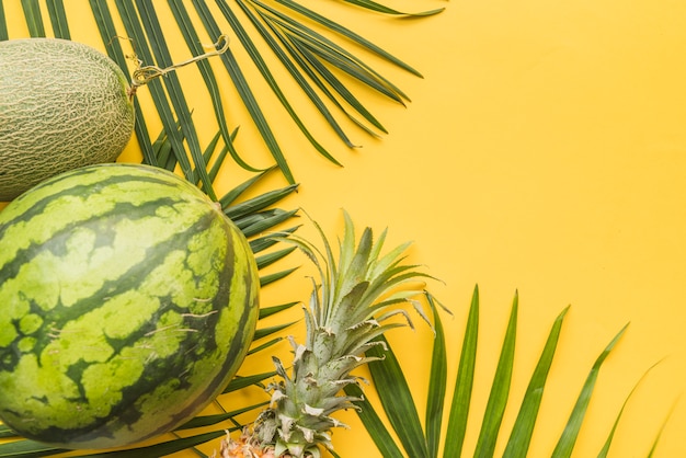 Foto gratuita insieme di frutti tropicali maturi su foglie di palma