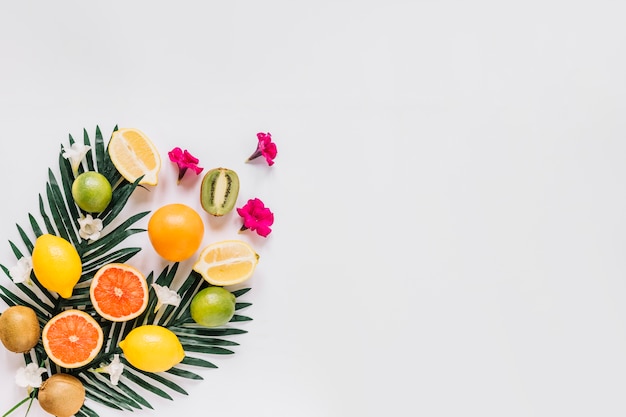 Foto gratuita piccoli fiori vicino agli agrumi e alle foglie