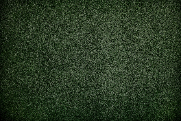 Foto gratuita texture green grass surface wallpaper concept