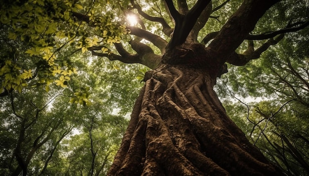 Foto gratuita scena tranquilla dell'antica crescita dell'albero di banyan ia generativa