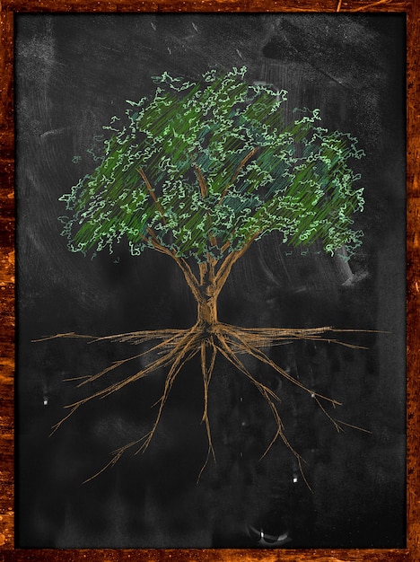 Foto gratuita l'albero sketch colore lascia e radice sulla lavagna