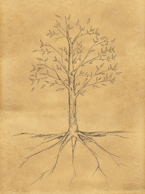 Foto gratuita sketch di albero con foglie su carta