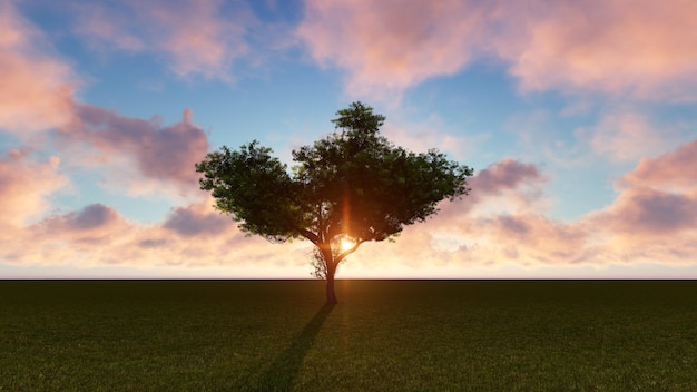 Foto gratuita albero con il sole alle spalle in un campo verde