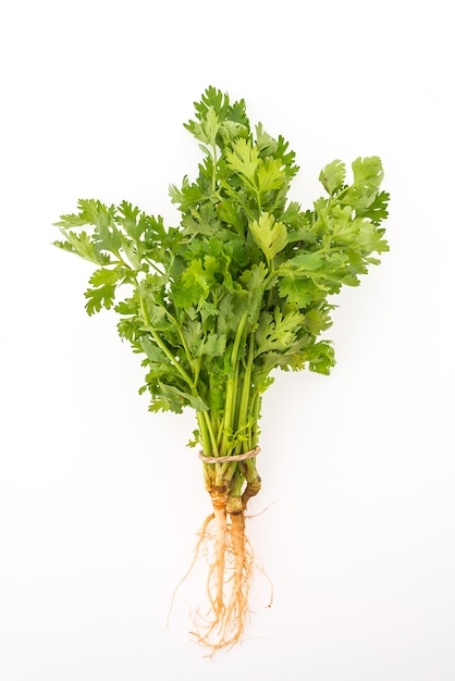 Foto gratuita verdure verde mazzo di prezzemolo sfondo