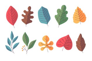 leaves clip arts