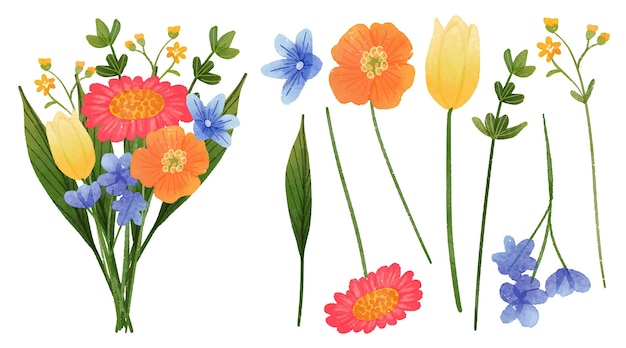 Free vector beautiful bouquet of flowers and leave for decoration in water colors style