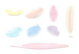 Feather clip arts