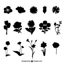 silhouette fiori