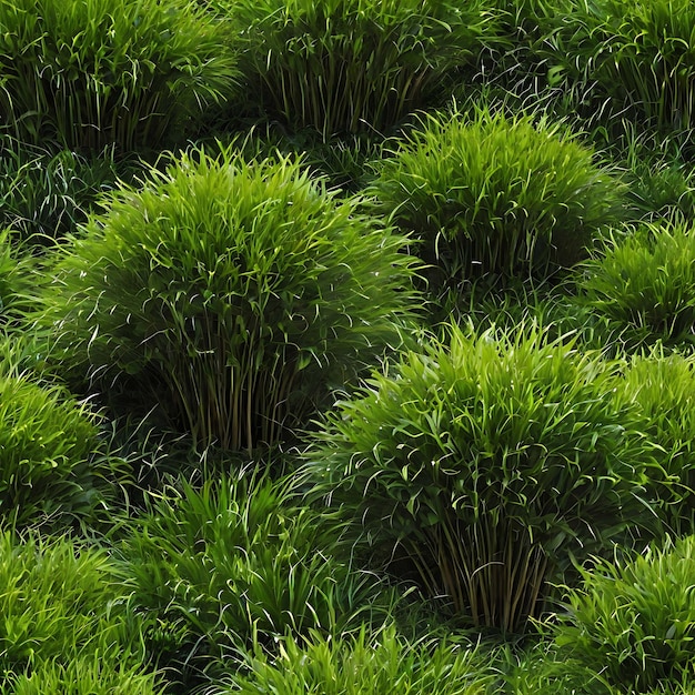 Foto un campo di erba con un sacco di piante verdi