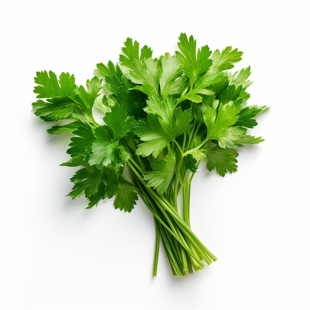 Foto foglie di prezzemolo verde fresco su sfondo bianco concetto di alimentazione sana erba nelle ricette