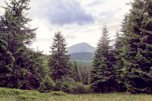 Foto paesaggio delle montagne carpathians con la montagna petros