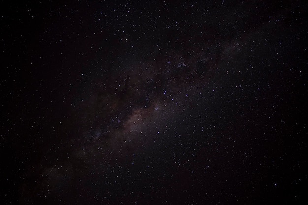 Foto vista a basso angolo del campo stellare contro il campo stellare