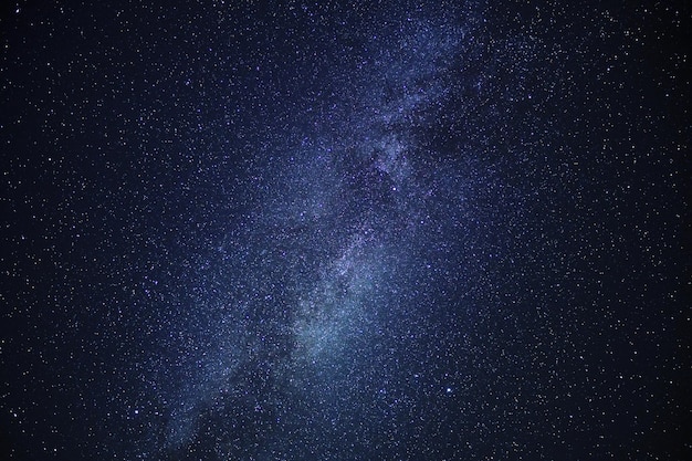 Foto vista a basso angolo delle stelle nel cielo